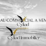 Local commercial à vendre à Saint-Malo Intra-Muros - Emplacement stratégique et visibilité assurée