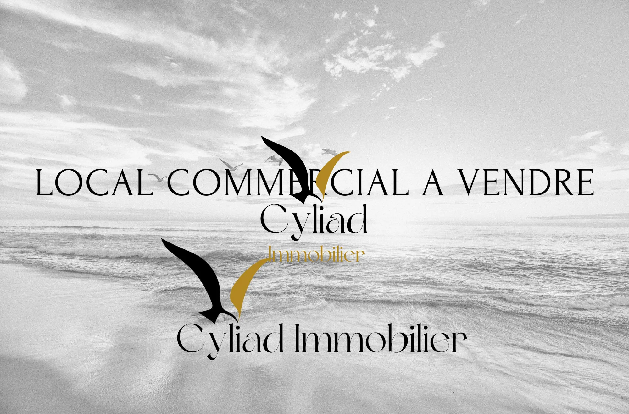 Local commercial à vendre à Saint-Malo Intra-Muros - Emplacement stratégique et visibilité assurée 