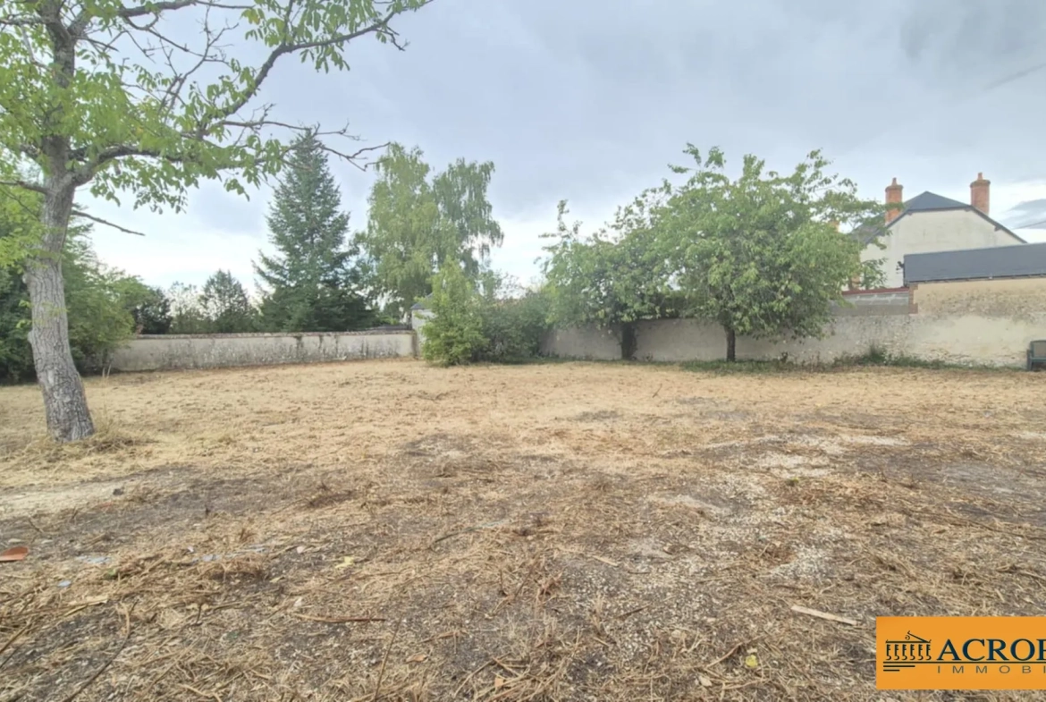 Fermette à rénover à Argent-sur-Sauldre avec potentiel et terrain arboré 