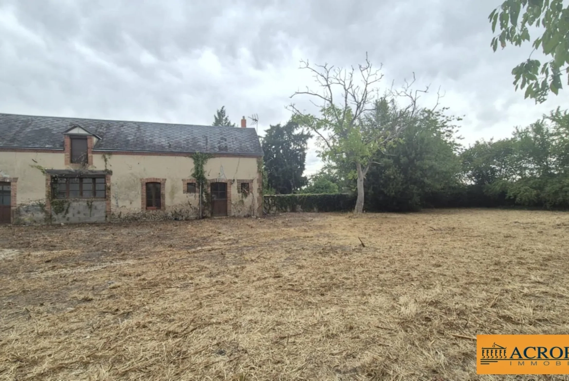 Fermette à rénover à Argent-sur-Sauldre avec potentiel et terrain arboré 