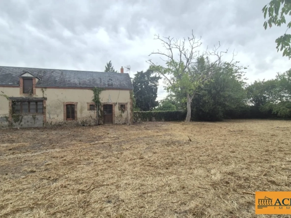 Fermette à rénover à Argent-sur-Sauldre avec potentiel et terrain arboré
