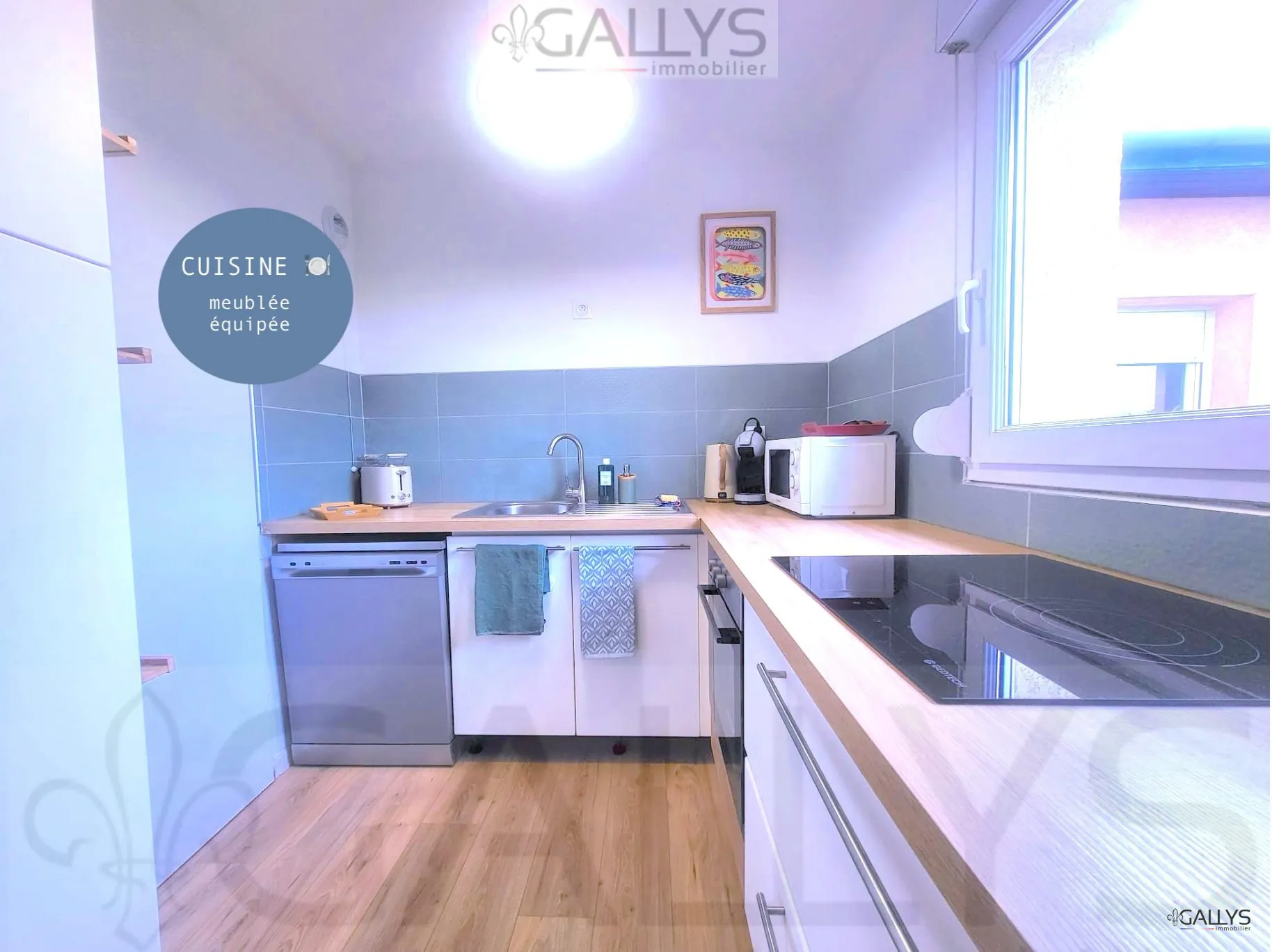 Appartement T2 lumineux avec balcon à Cugnaux - Idéal investissement ou premier achat 