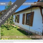 Charmante maison avec jardin arboré et terrain piscinable près de Bazas
