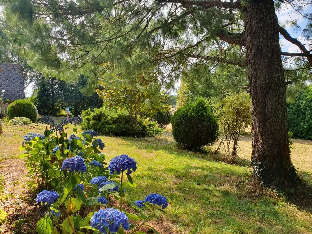 Magnifique maison ancienne en Xaintrie avec dépendances et parc arboré 