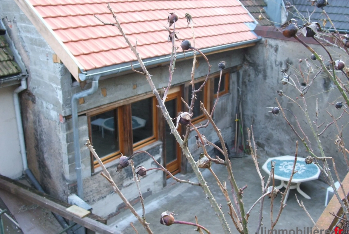 Maison à rénover avec terrasse à Sainte-Marie-aux-Mines, potentiel d'aménagement intérieur 