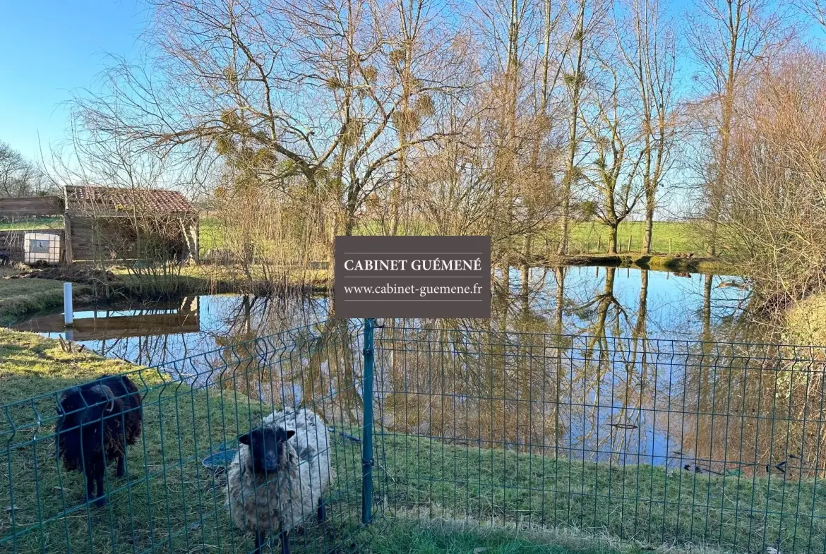 Maison de village en Pierre avec Jardin à VIEILLEVIGNE - 4 Pièces 