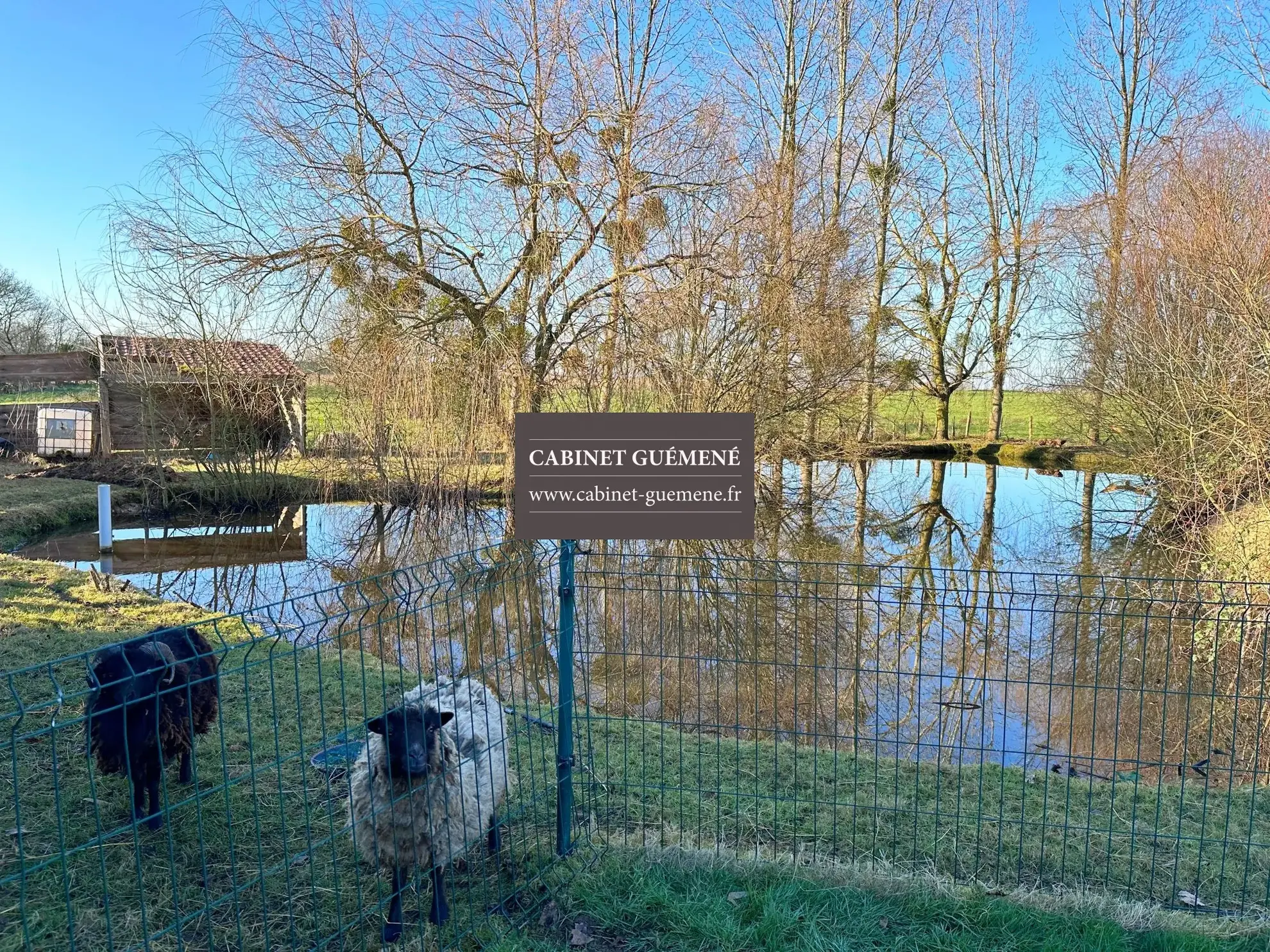 Maison de village en Pierre avec Jardin à VIEILLEVIGNE - 4 Pièces 