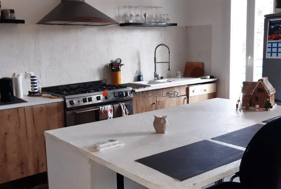 Appartement traversant de 82m² avec grande terrasse à Amélie-les-Bains-Palalda 