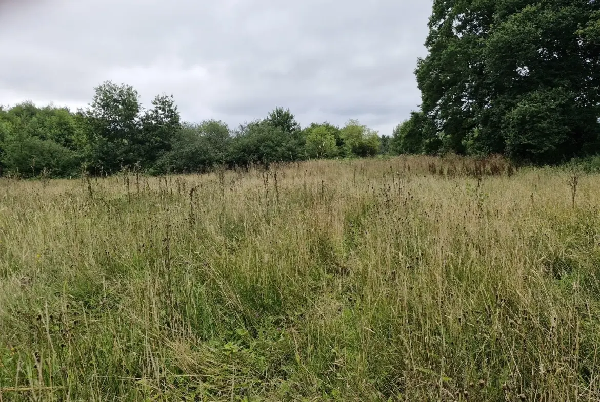 Terrain non constructible à vendre à Valdallière avec rivière et environnement calme 