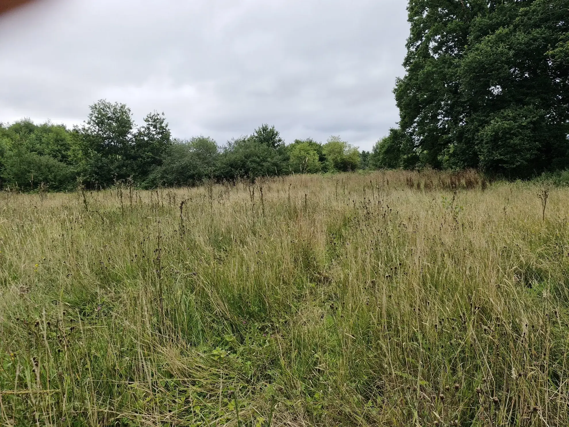 Terrain non constructible à vendre à Valdallière avec rivière et environnement calme 