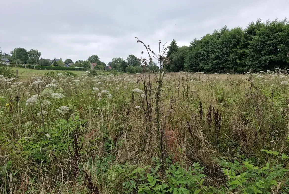 Terrain non constructible à vendre à Valdallière avec rivière et environnement calme 