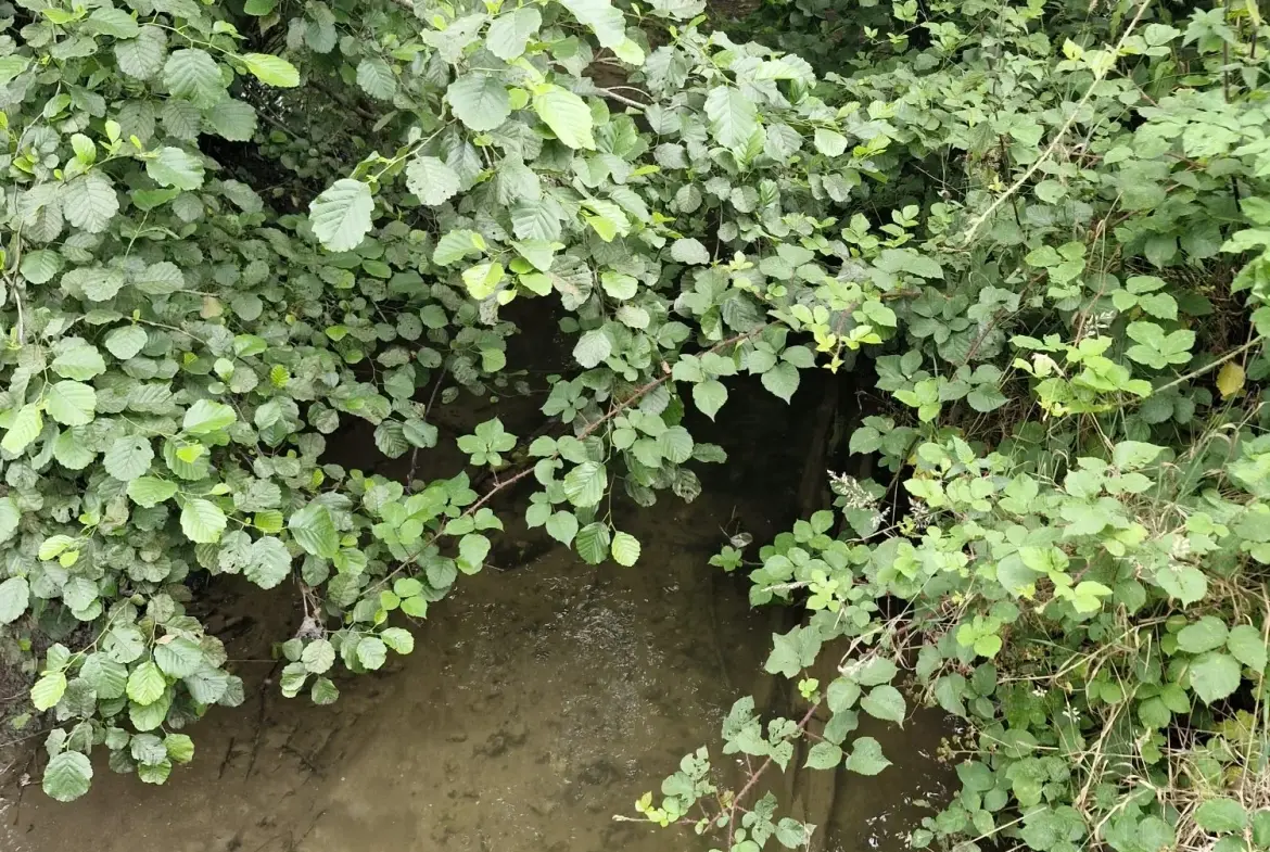 Terrain non constructible à vendre à Valdallière avec rivière et environnement calme 
