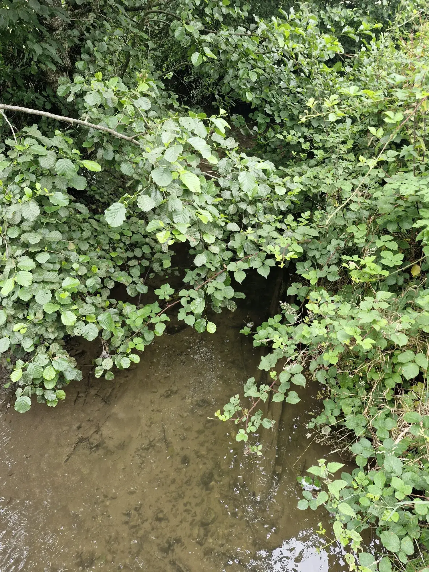 Terrain non constructible à vendre à Valdallière avec rivière et environnement calme 
