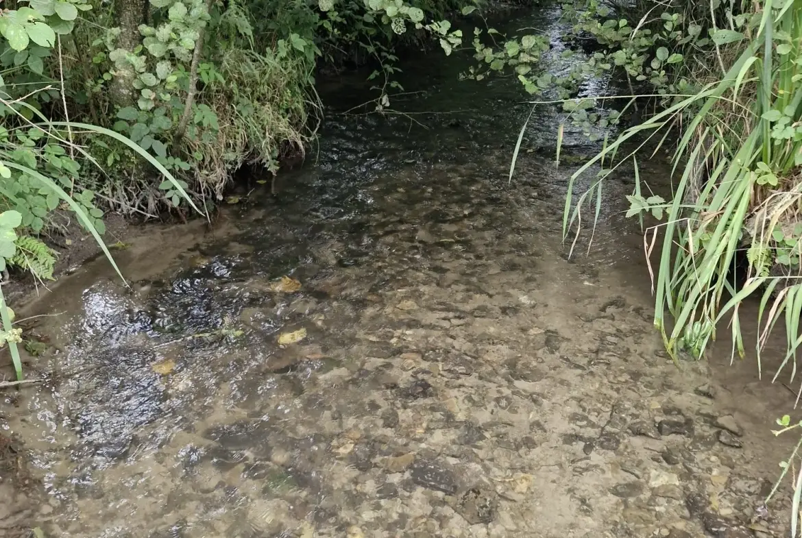 Terrain non constructible à vendre à Valdallière avec rivière et environnement calme 