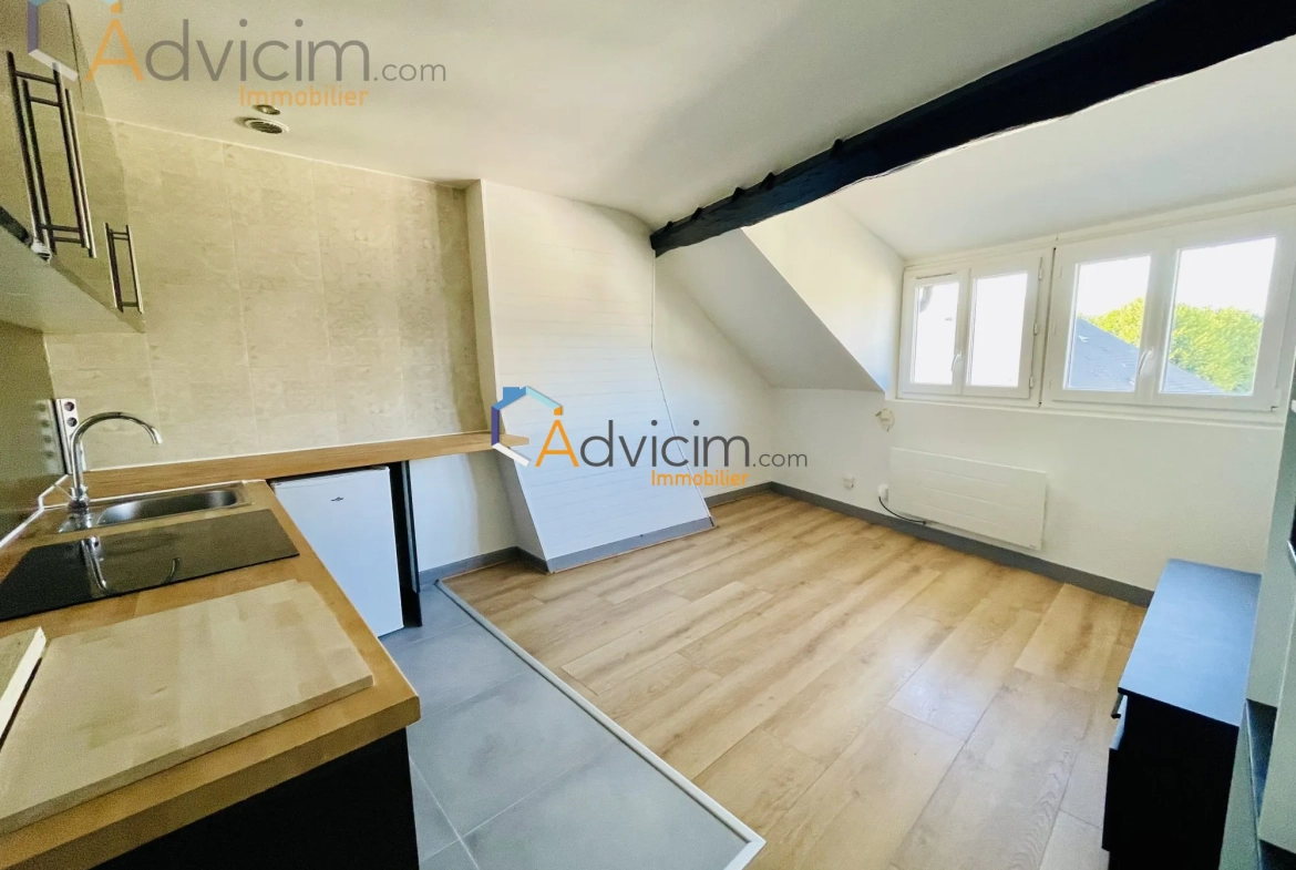 Appartement 2 pièces rénové de 27 m² à Orléans, vue Loire et cathédrale 