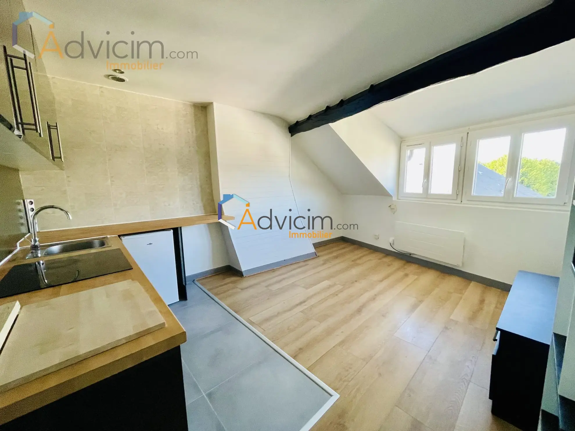 Appartement 2 pièces rénové de 27 m² à Orléans, vue Loire et cathédrale 