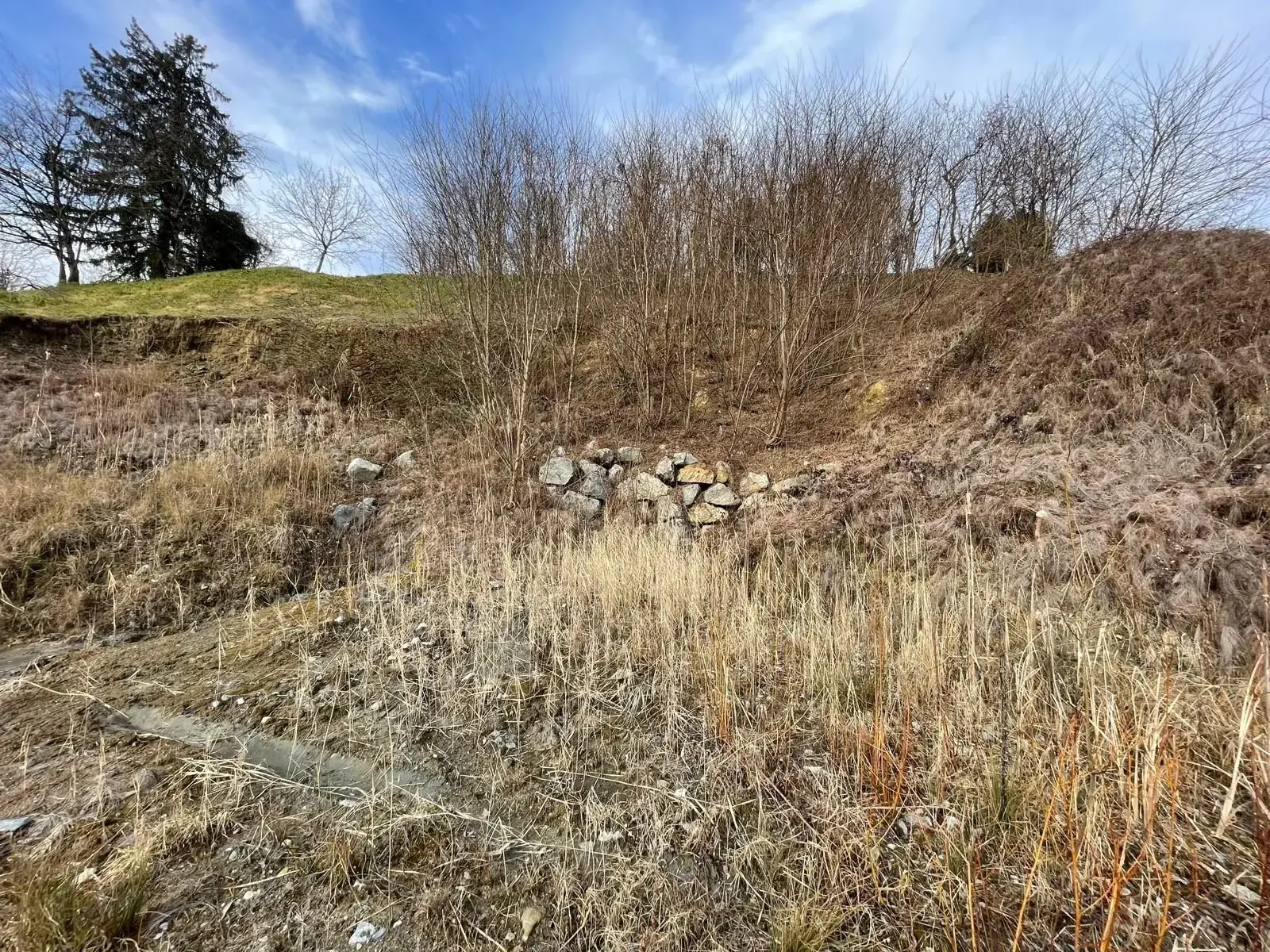 Terrain constructible de 1404 m² à vendre à Coise-Saint-Jean-Pied-Gauthier - Vue dégagée et proximité autoroute 