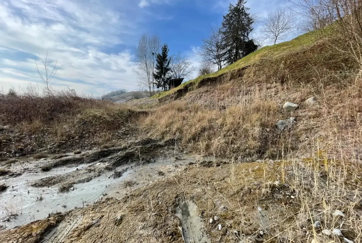 Terrain constructible de 1404 m² à vendre à Coise-Saint-Jean-Pied-Gauthier - Vue dégagée et proximité autoroute 