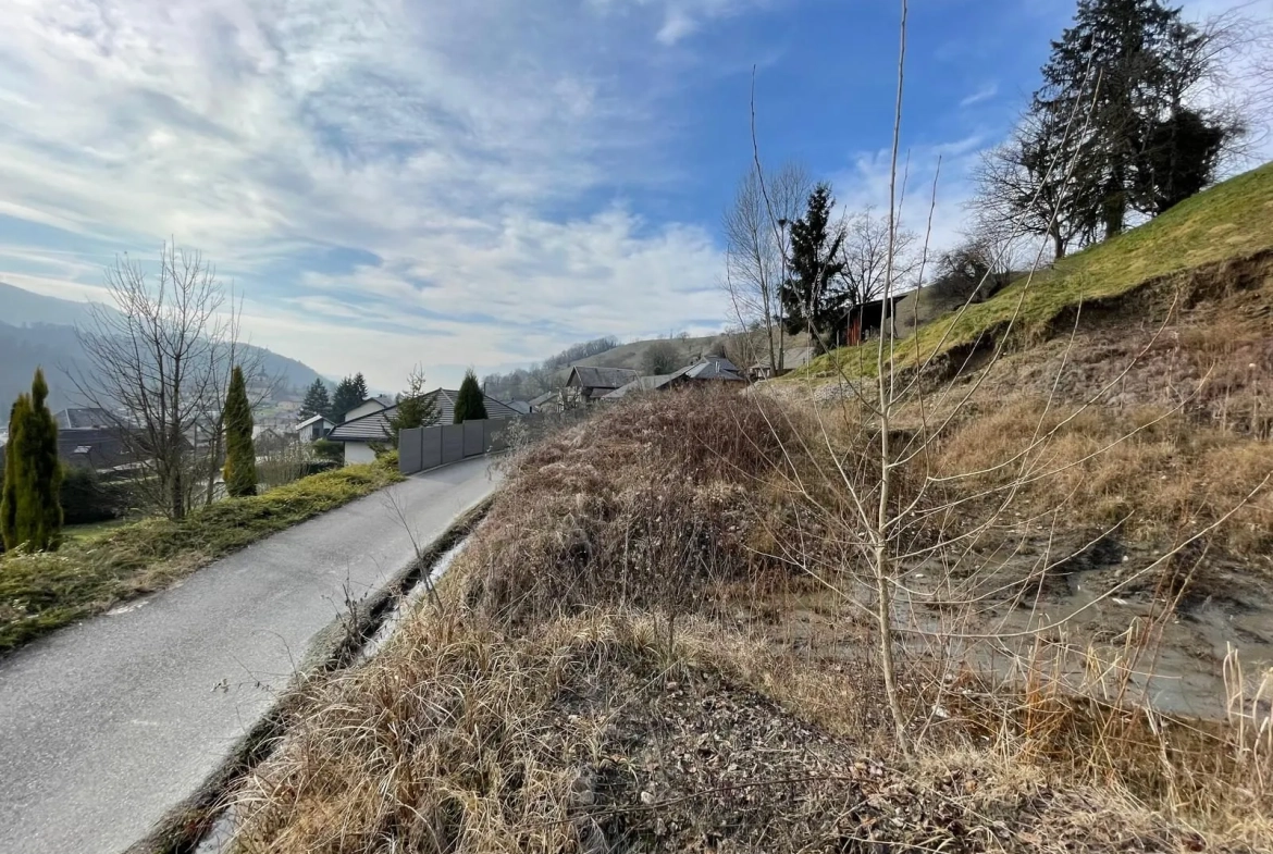 Terrain constructible de 1404 m² à vendre à Coise-Saint-Jean-Pied-Gauthier - Vue dégagée et proximité autoroute 