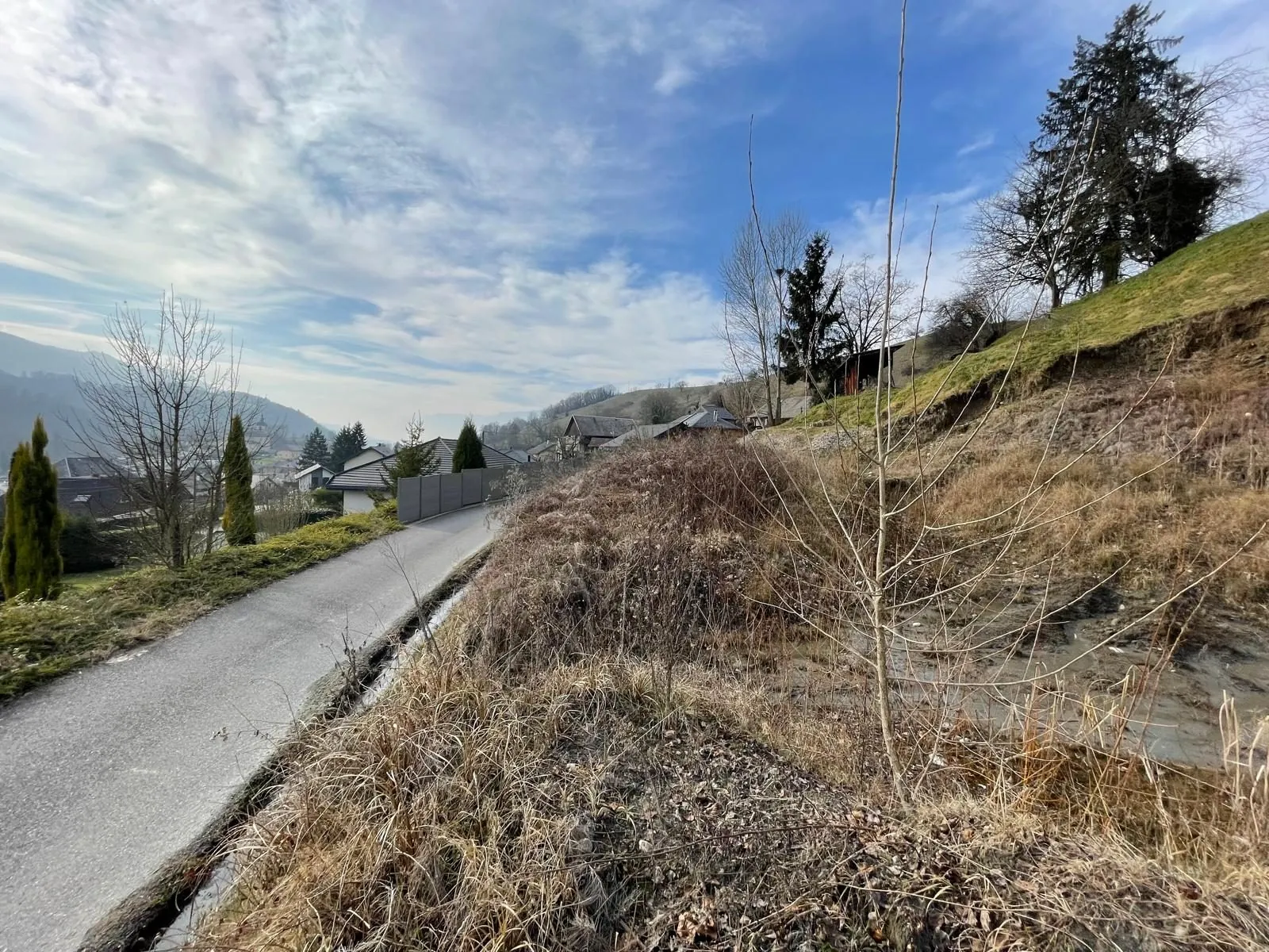 Terrain constructible de 1404 m² à vendre à Coise-Saint-Jean-Pied-Gauthier - Vue dégagée et proximité autoroute 