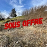 Terrain constructible de 1404 m² à vendre à Coise-Saint-Jean-Pied-Gauthier - Vue dégagée et proximité autoroute