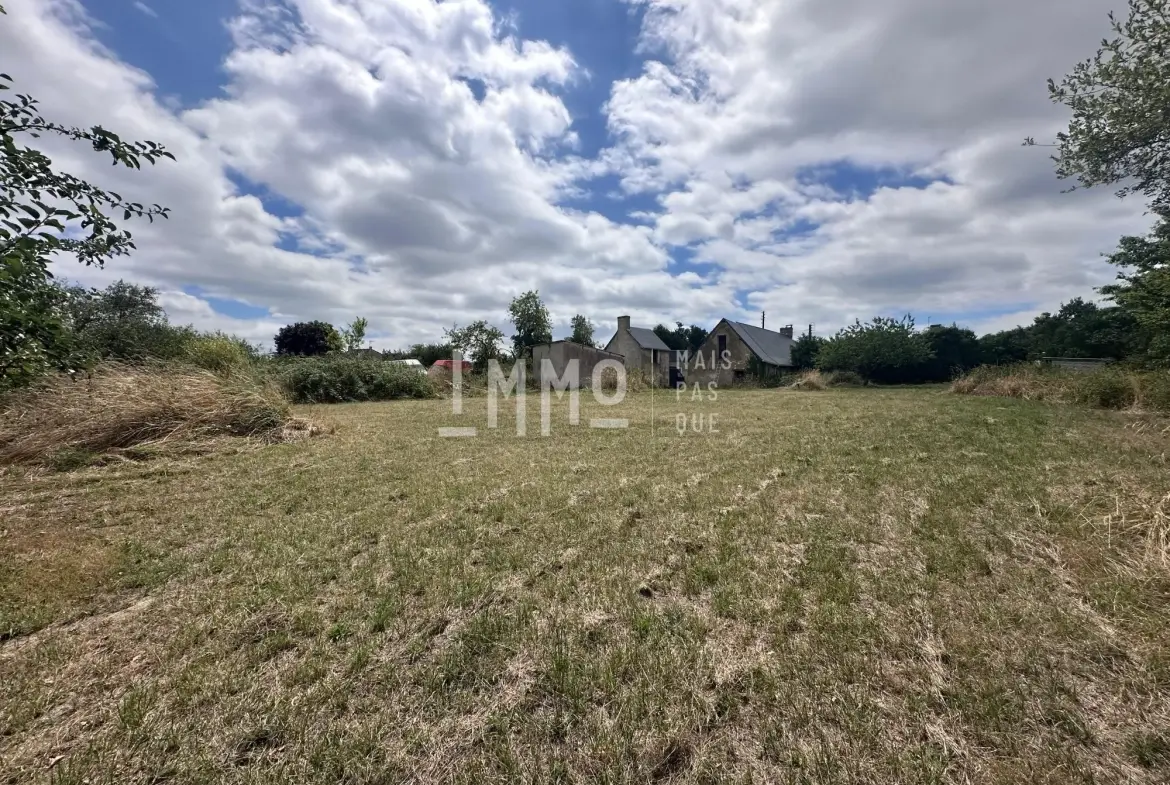 Maison de campagne à rénover à Montval-sur-Loir avec grand terrain 