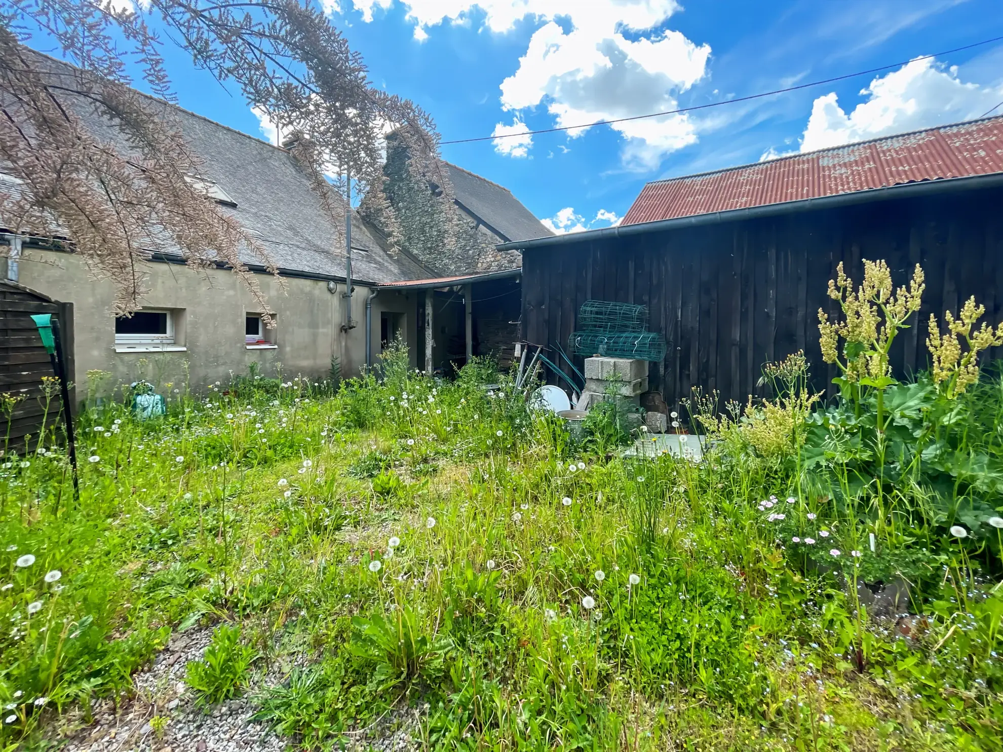 Charmante maison en pierre de 130 m² à Taupont avec dépendances et grand terrain 