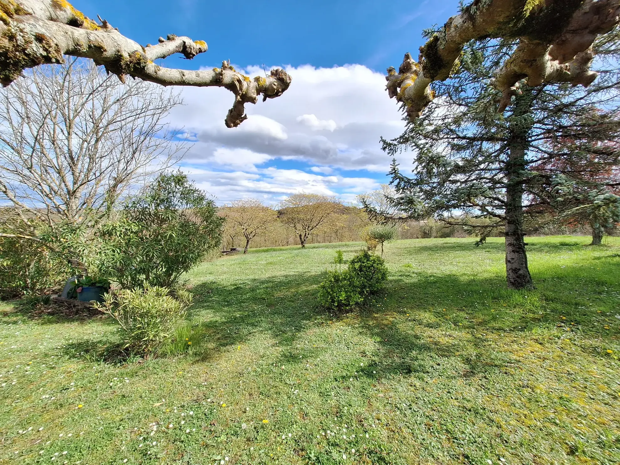 Maison familiale avec 4 chambres, terrasse et grand terrain à Puylaurens 