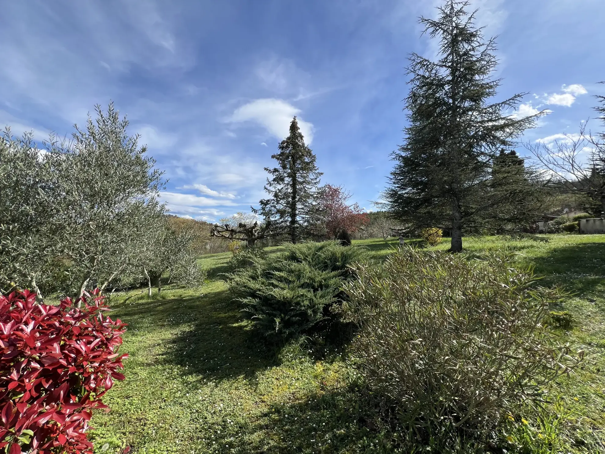 Maison familiale avec 4 chambres, terrasse et grand terrain à Puylaurens 