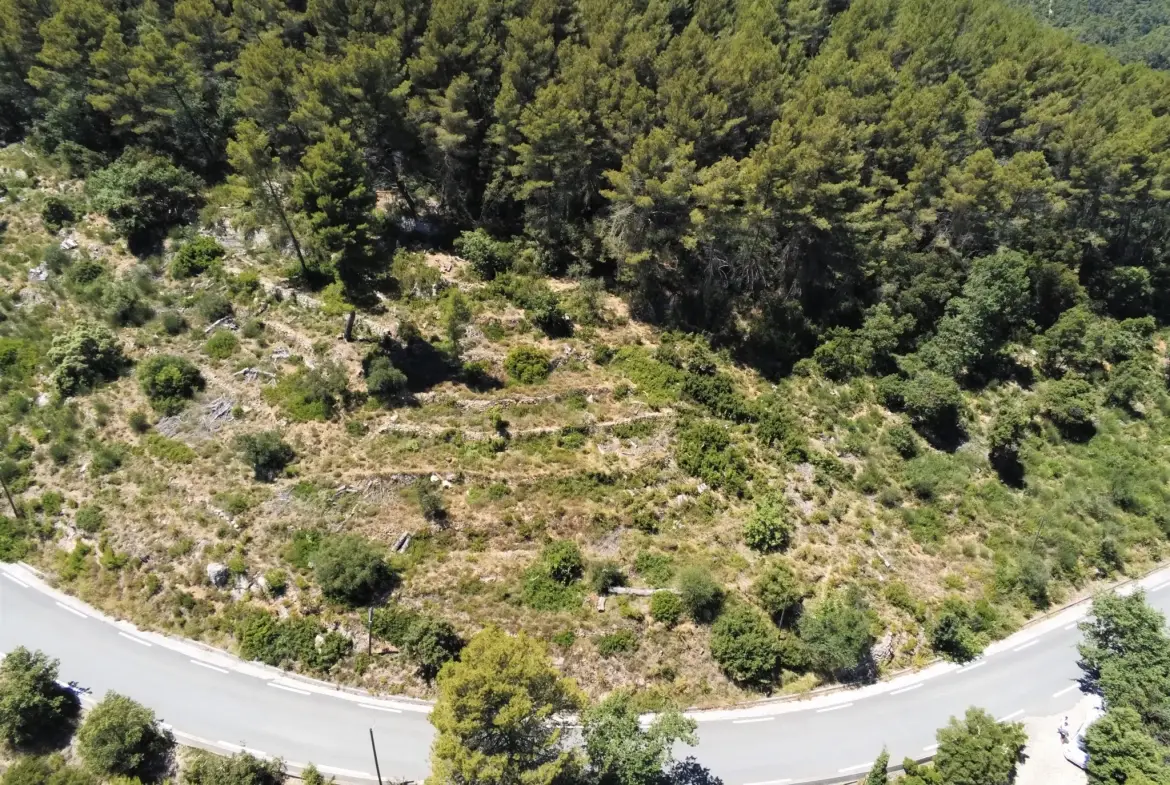 Terrain non constructible de 7358 m² avec vue à Puget-Ville 