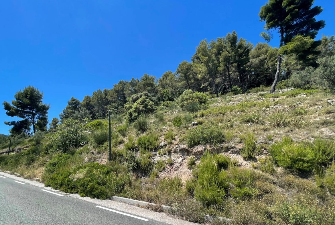 Terrain non constructible de 7358 m² avec vue à Puget-Ville 