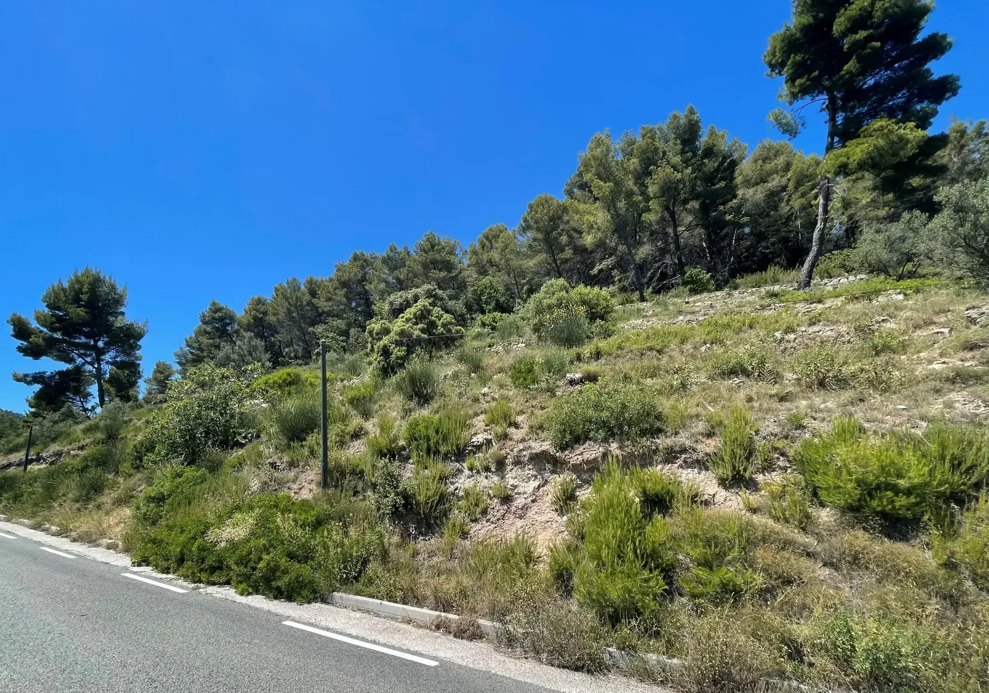 Terrain non constructible de 7358 m² avec vue à Puget-Ville 