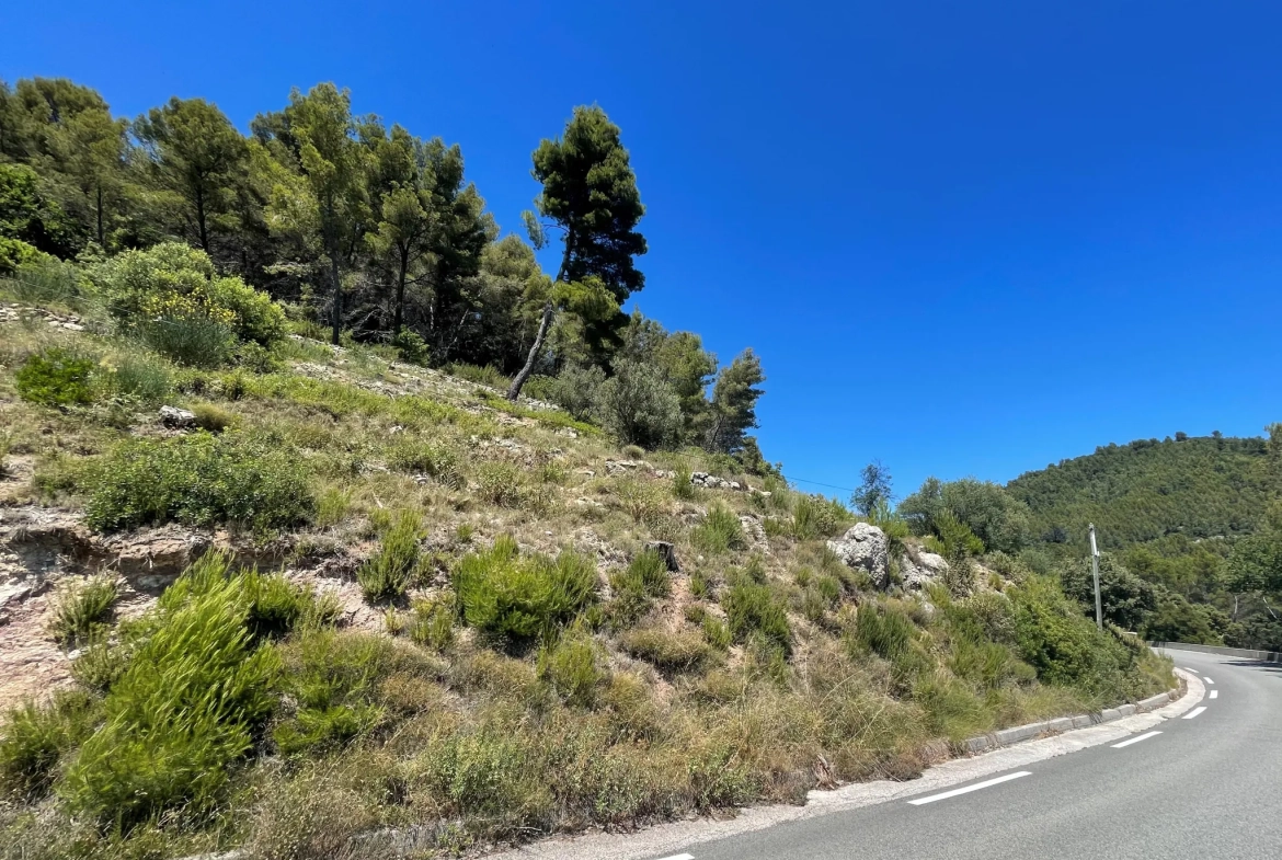 Terrain non constructible de 7358 m² avec vue à Puget-Ville 