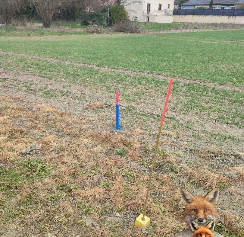 Terrain à bâtir de 900 m² à Saint-Aubin, Viabilité assurée 