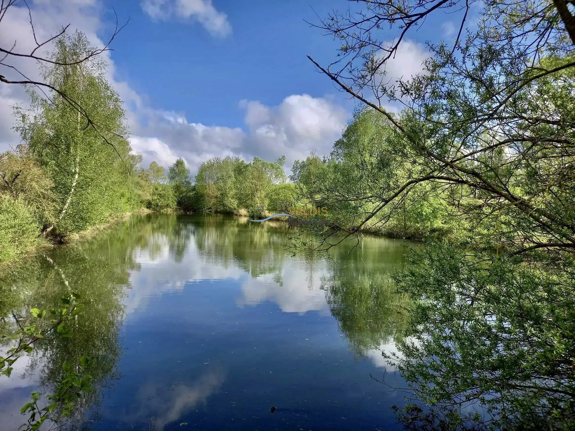 Terrain de 2,2 hectares avec étangs à Bucy-le-Long, idéal pour la détente et la pêche 