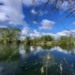 Terrain de 2,2 hectares avec étangs à Bucy-le-Long, idéal pour la détente et la pêche