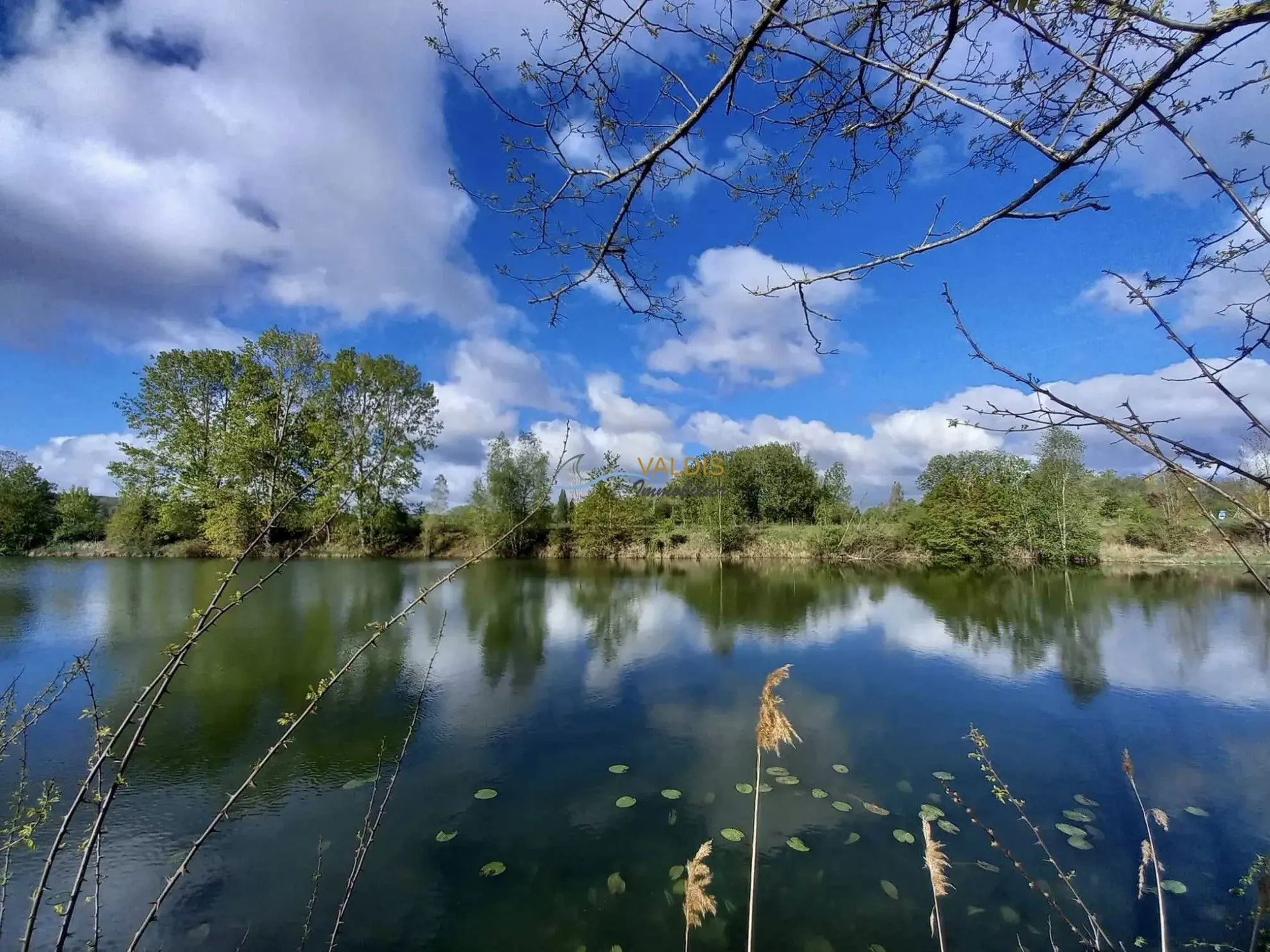 Terrain de 2,2 hectares avec étangs à Bucy-le-Long, idéal pour la détente et la pêche 