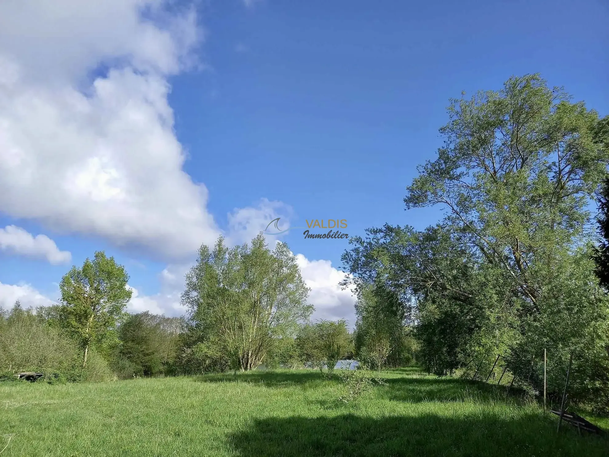Terrain de 2,2 hectares avec étangs à Bucy-le-Long, idéal pour la détente et la pêche 