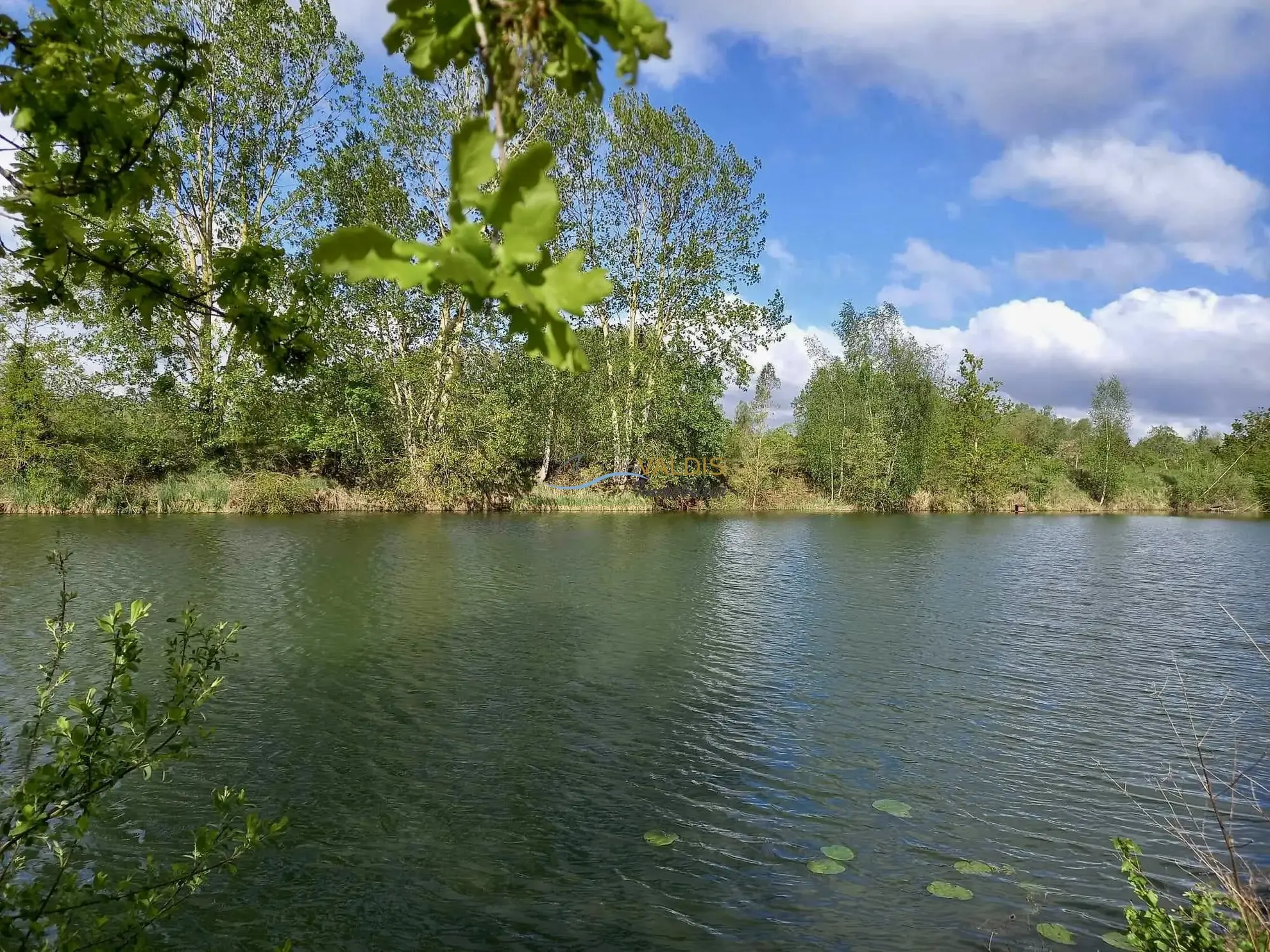 Terrain de 2,2 hectares avec étangs à Bucy-le-Long, idéal pour la détente et la pêche 