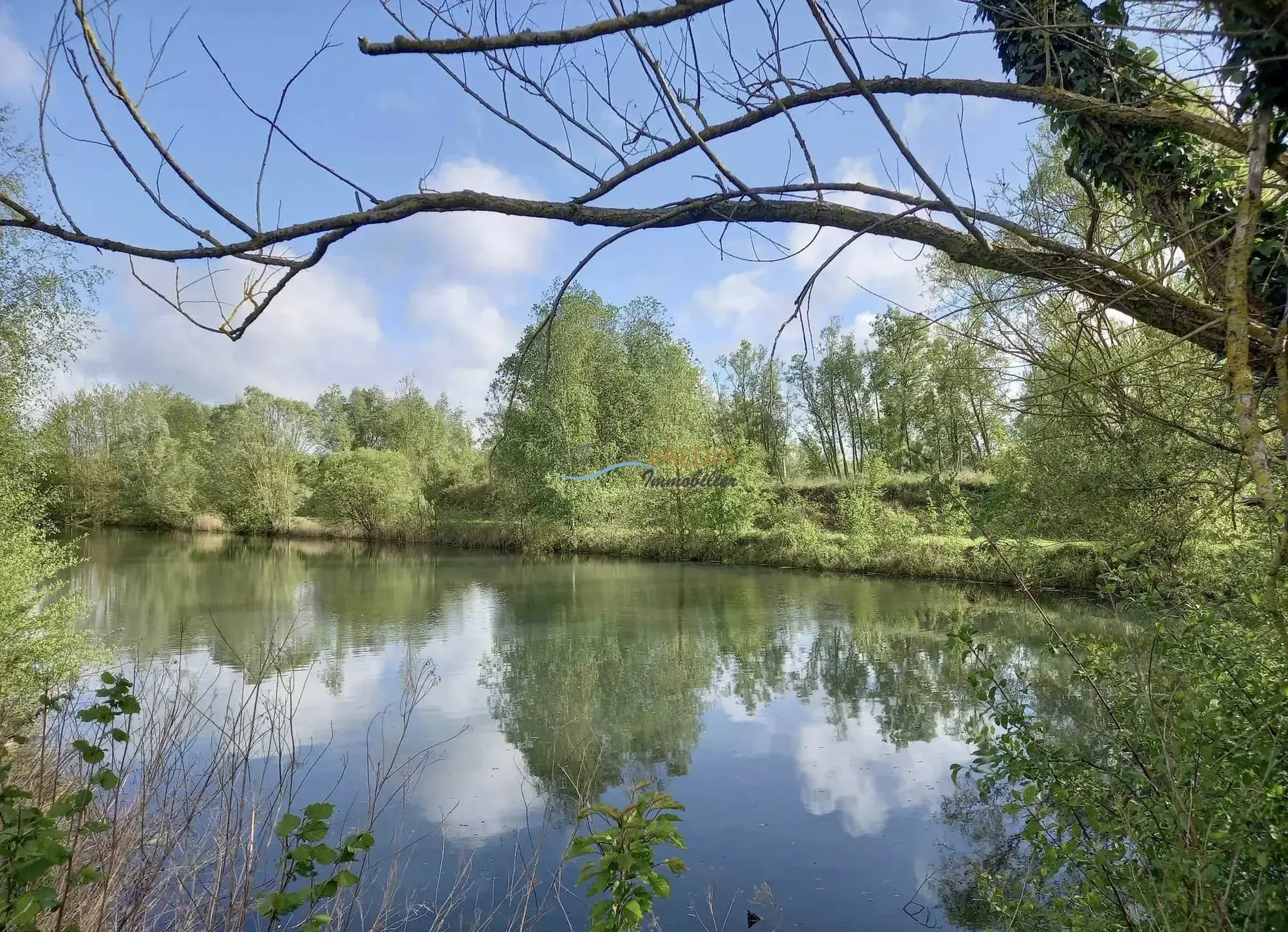 Terrain de 2,2 hectares avec étangs à Bucy-le-Long, idéal pour la détente et la pêche 