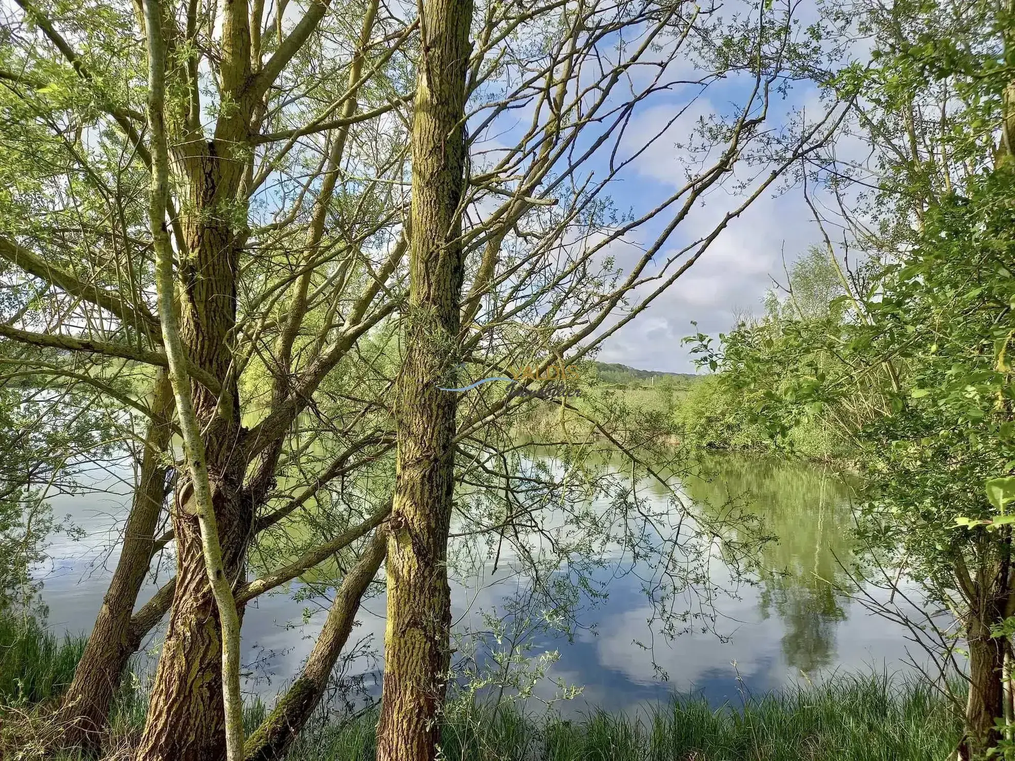Terrain de 2,2 hectares avec étangs à Bucy-le-Long, idéal pour la détente et la pêche 