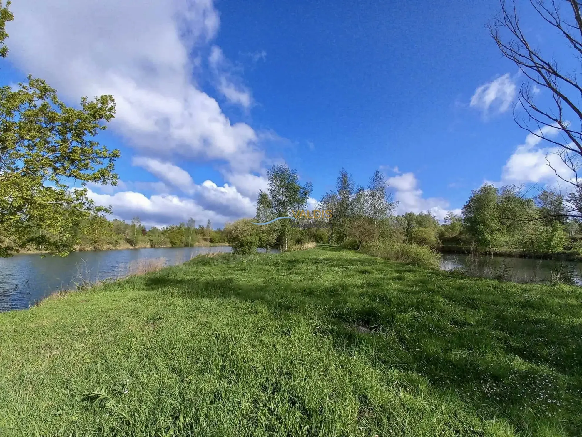 Terrain de 2,2 hectares avec étangs à Bucy-le-Long, idéal pour la détente et la pêche 