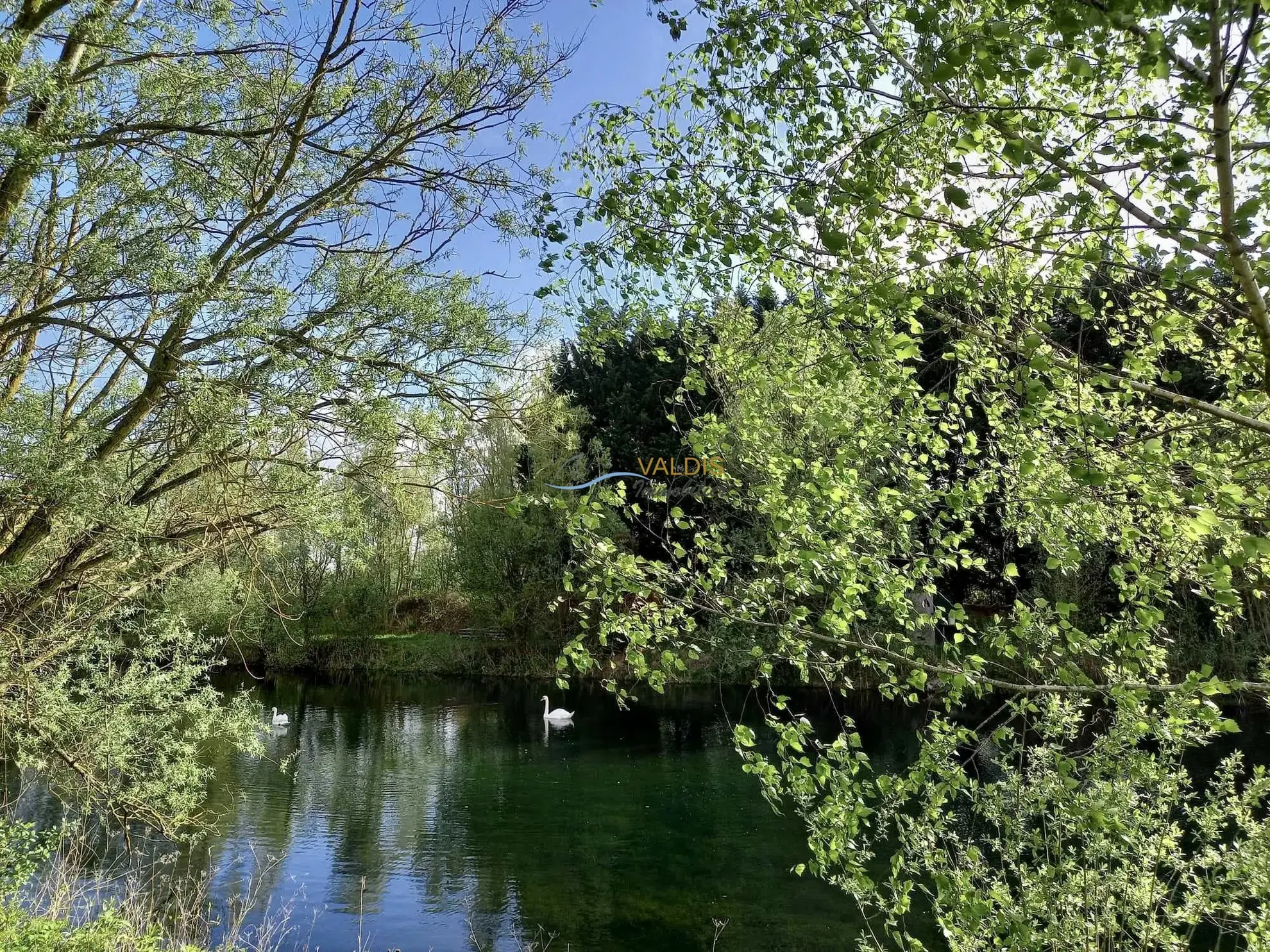 Terrain de 2,2 hectares avec étangs à Bucy-le-Long, idéal pour la détente et la pêche 