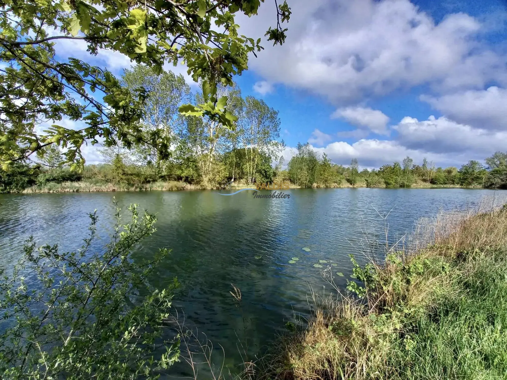 Terrain de 2,2 hectares avec étangs à Bucy-le-Long, idéal pour la détente et la pêche 