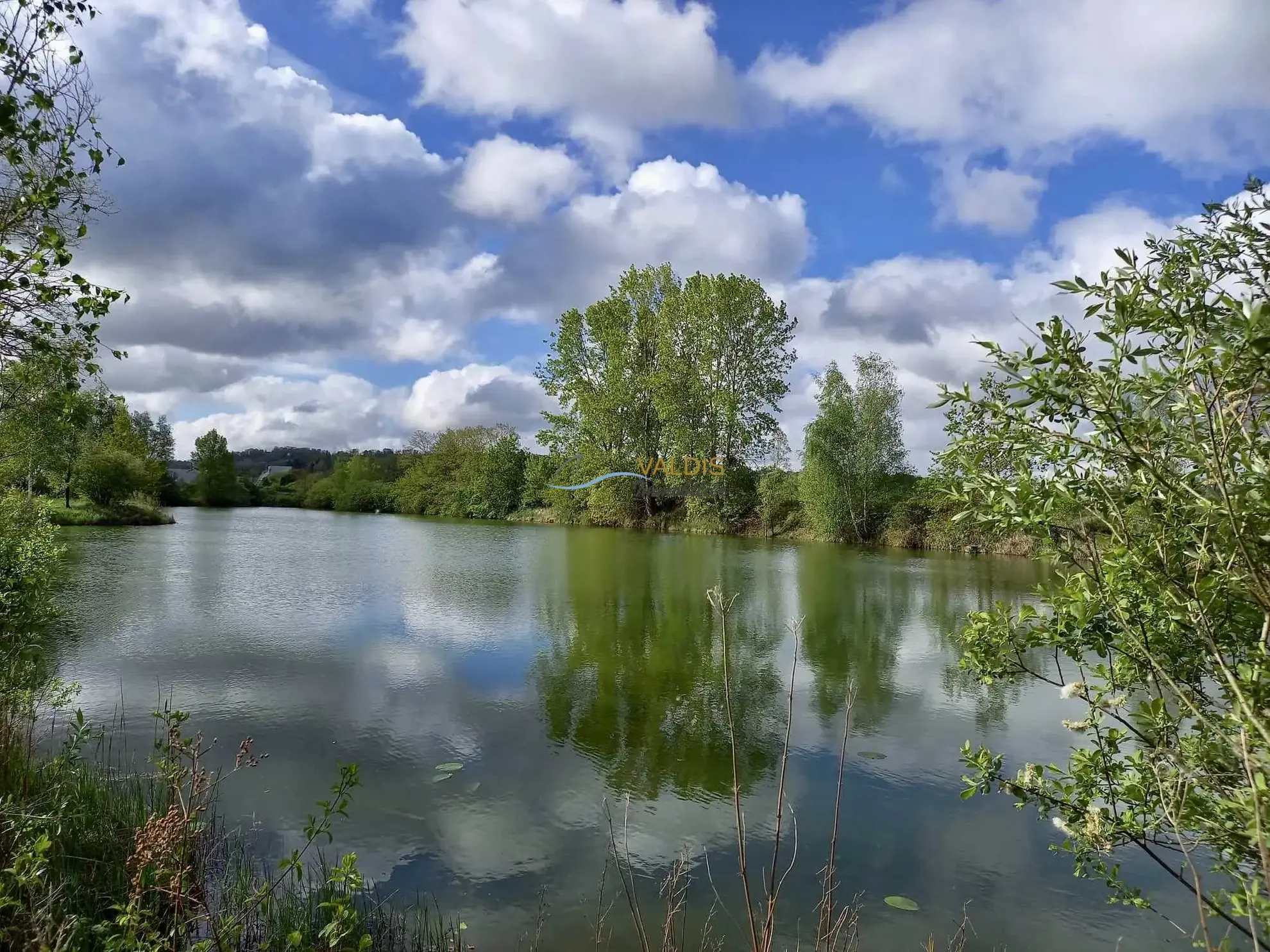 Terrain de 2,2 hectares avec étangs à Bucy-le-Long, idéal pour la détente et la pêche 