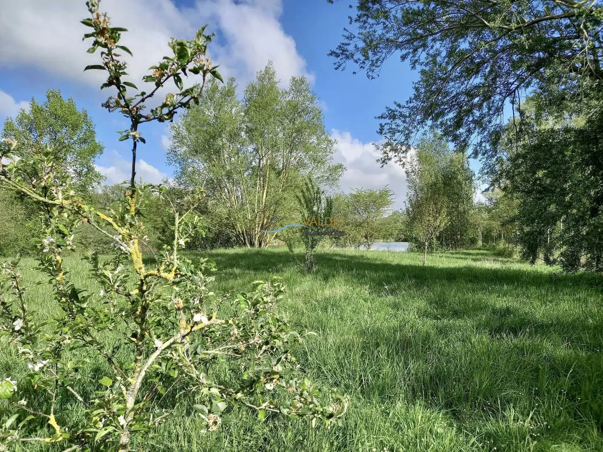 Terrain de 2,2 hectares avec étangs à Bucy-le-Long, idéal pour la détente et la pêche 