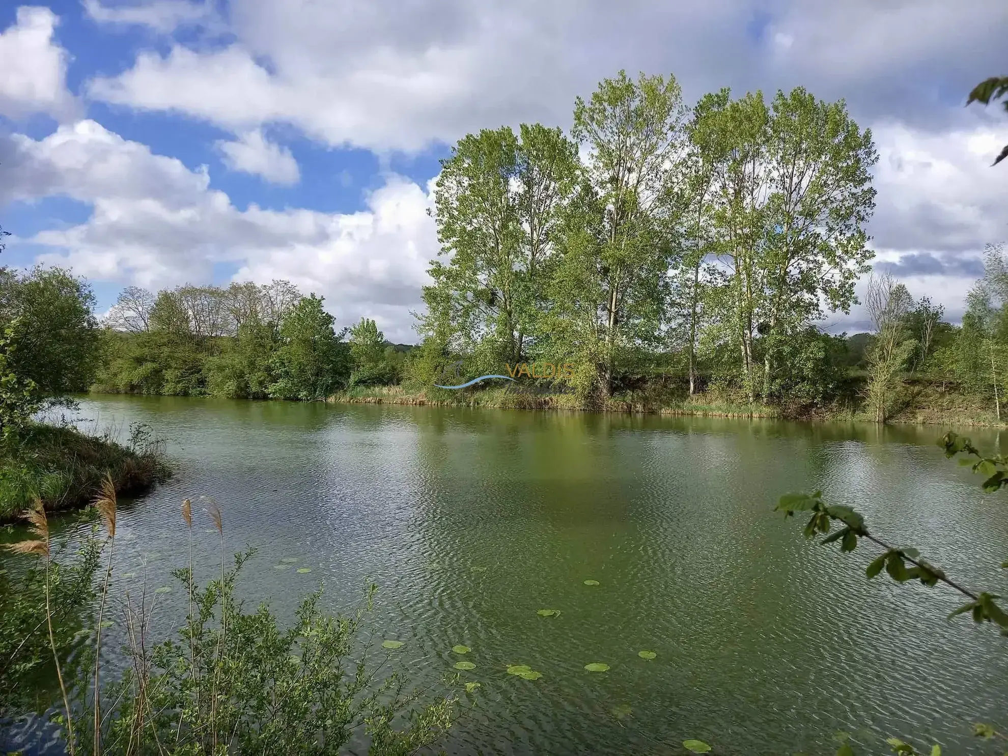 Terrain de 2,2 hectares avec étangs à Bucy-le-Long, idéal pour la détente et la pêche 