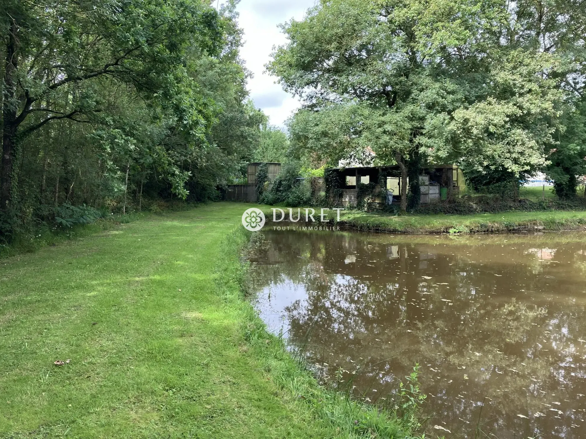 Terrain à vendre à La Bernardière avec plan d'eau privé - Opportunité rare 