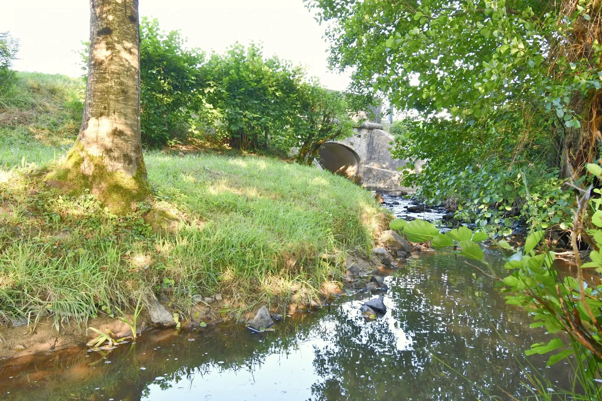 Longère morvandelle 187 m² avec terrain de 6381 m² à Villapourçon 