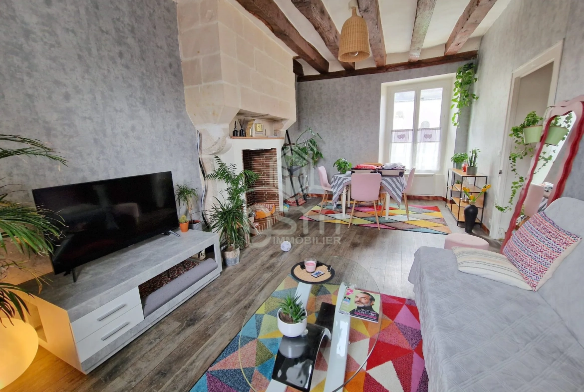 Maison de ville à Monts avec deux appartements indépendants - Investissement ou habitation 